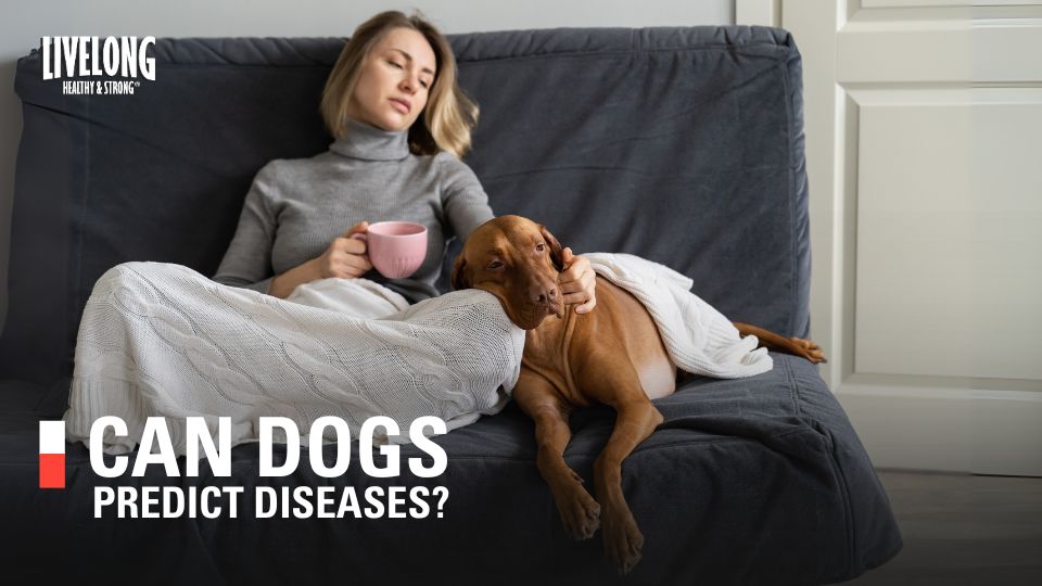 Can Dogs Predict Human Diseases?
